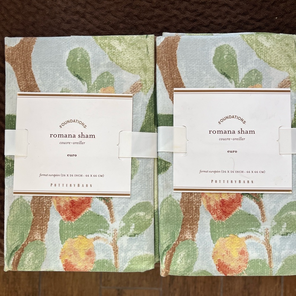 Pottery Barn Romana Sham Pair - Euro